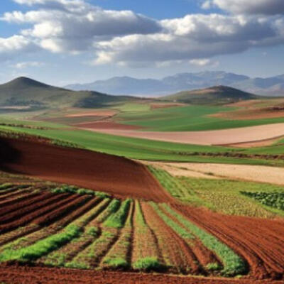 كراء أراضي "المزوزي" التابعة لنفوذ النظارة أوقاف تاونات برسم سنة 2024