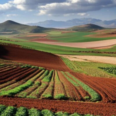 كراء الأراضي الفلاحية للمازوزي عن الموسم الفلاحي 2024/2025