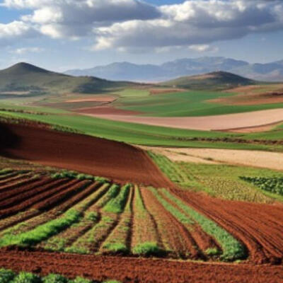 لكراء أراضي المزوزي للموسم الفلاحي  2024/2025