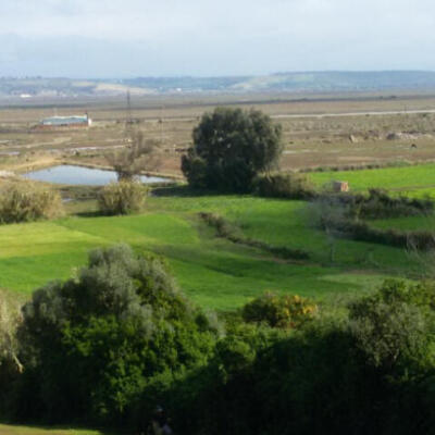 إعلان عن سمسرة كراء الأراضي المتبقية للمزوزي برسم الموسم الفلاحي ‌‌‏‌‌‌‌‌‌2025 /2024