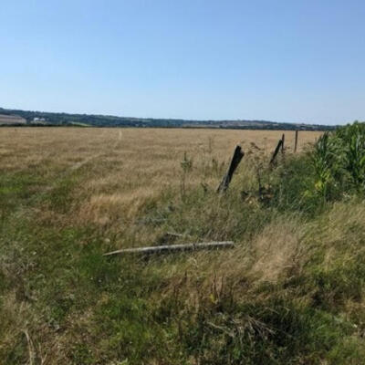 إعلان عن سمسرة عمومية لكراء أملاك وقفية فلاحية  لأمد ست سنوات غير قابلة للتجديد