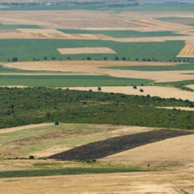 إعلان عن سمسرة كراء أملاك وقفية فلاحية تابعة لنيابة سيدي اليماني