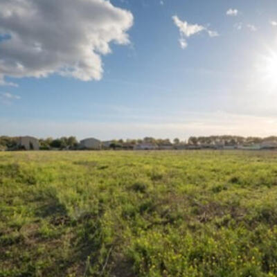 إعلان عن إجراء سمسرة عمومية لكراء قطع أرضية فلاحية بإقليم افران