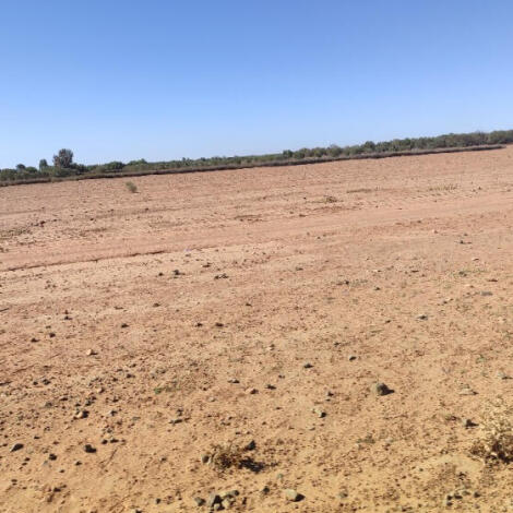 إعلان عن إجراء  سمسرة عمومية لكراء الأملاك الحبسية  التابعة للنيابات مسفيوة