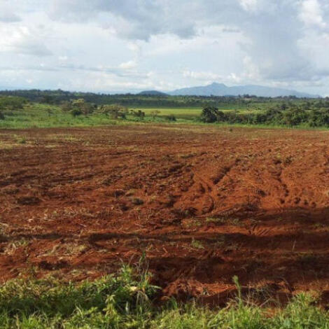 إجراء سمسرة عمومية علنية لكراء أملاك حبسية  بتازة