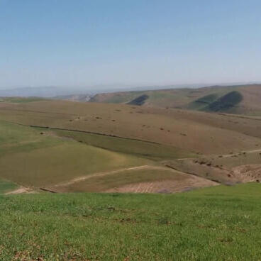 إجراء سمسرة عمومية علنية لكراء أملاك حبسية تابع لأحباس نيابة سيدي اليماني