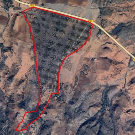 إعلان عن طلب عروض مفتوح رقم 2025/SIPHA/06