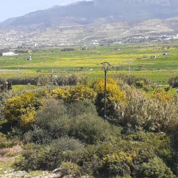 إجراء سمسرة عمومية علنية لكراء الأملاك الحبسية الكائنة بضواحي المدينة التابعة لأحباس الكبرى بتطون و ذلك  لمدة ست سنوات غير  قابلة للتجديد