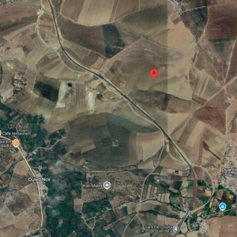 إعلان عن طلب عروض مفتوح رقم 17/SIPHA/2025