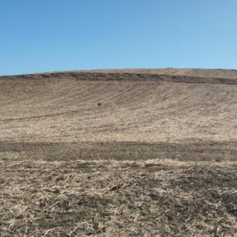 اجراء سمسرة عمومية علنية لكراء الأراضي الفلاحية وبيع الغلل المتبقية للمزوزي عن الموسم الفلاحي 2026/2025