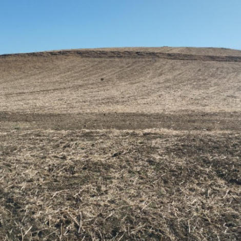 اجراء سمسرة عمومية علنية لكراء الأراضي الفلاحية وبيع الغلل المتبقية للمزوزي عن الموسم الفلاحي 2026/2025