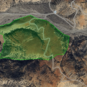 إجراء سمسرة عمومية علنية لكراء مجموعة من القطع الارضية الحبسية بالحسيمة