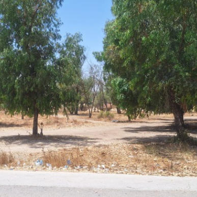 اعلان عن طلب عروض رقم 02/NHS/2026